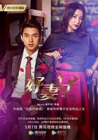 《好妻子》2020电视剧全集免费观看